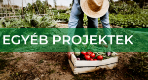 Magosfa Projektek - Egyéb